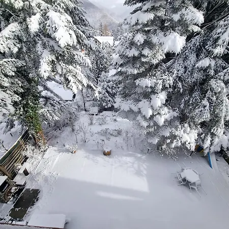 Apartment Sporty Mountain Escape